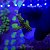 Acropora Yongei Green - Imagem 2