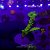 Acropora Yongei Green - Imagem 1
