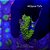 Acropora Yongei Green - Imagem 4