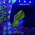 Acropora Yongei Green - Imagem 3