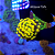 Hammer Yellow Toxic - Imagem 1