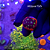 Favites War - Imagem 1