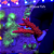 Acropora PC Rainbow - Imagem 1