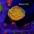 Montipora Rainbow - Imagem 1