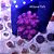 Stylophora Pink Tonga - Imagem 1