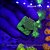 Pavona Cactus Green - Imagem 1