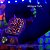 Cyphastrea Bizarro (A) - Imagem 1