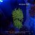 Leather Japanese Neon Toadstool - Imagem 2