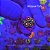 Zoanthus Tangerine Lagoon - Imagem 1