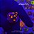 Zoanthus (Sem ID) - G - Imagem 1