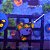 Zoanthus Rainbow Incinerator - Imagem 1
