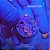 Zoanthus (Sem ID) - L - Imagem 1