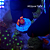 Zoanthus (Sem ID) - Z - Imagem 1