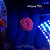 Discosoma Superman - Imagem 1
