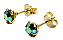 Brinco Ponto Colorido Banhado a Ouro - Imagem 1