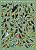 COMBO: 2 Posters Floresta Atlântica 1 e 2 + Poster Aves Costeiras + 2 Guias de Aves + GUIA DE FOZ GRÁTIS - Imagem 3