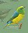 COMBO: 2 POSTERS + GUIA das Aves da Floresta Atlântica - Imagem 8