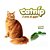 Catnip Petlon Erva do Gato Desidratada 10g Ecolog - Imagem 2