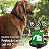 Kit 4 Coleiras Repelentes Naturais Cães 8kg a 15kg PetVegan - Imagem 2