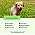 Suplemento para Cães Filhotes | Crescimento Saudável | Nutroplus Crescimento 500 g - Imagem 5