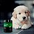 Suplemento para Cães Filhotes | Crescimento Saudável | Nutroplus Crescimento 500 g - Imagem 2