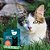 Coleira Natural Neem e Erva Santa Maria para Cães e Gatos Zenpet - Imagem 19