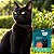 Kit com 2 Coleiras Naturais com Neem e Erva-Santa-Maria para Gatos | Zenpet - Imagem 3