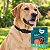 Kit com 2 Coleiras Naturais com Neem e Erva-Santa-Maria para Cães Grandes | Zenpet - Imagem 2