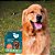 Kit 2 Coleira Natural Neem e Erva Santa Maria Cães Grandes Zenpet - Imagem 4