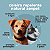 Kit Coleira Natural Zenpet e Suplemento Neem Pet Gatos Openeem - Imagem 7