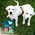 Kit Coleira Natural Zenpet e Suplemento Neem Pet Cães Filhotes Openeem - Imagem 3
