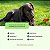 Suplemento para Cães Filhotes e Sensíveis | Crescimento Saudável | Nutroplus Primus Crescimento 500 g - Imagem 7