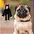 Brinquedo Mordedor Pelúcia para Cães Macaco Preto Peludo Jambo Pet - Imagem 2