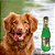Brinquedo Mordedor Pelúcia para Cães Garrafa Champagne Jambo Pet - Imagem 2