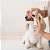 Fluido Odontológico para Limpeza dos Dentes de Cães 120 ml | VetFleur - Imagem 2