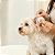 Limpa Orelhas para Cães 120 ml | VetFleur - Imagem 2