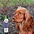 Limpa Ouvidos Natural com Própolis Verde para Cães e Gatos 100ml - Propovets - Imagem 2