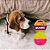 Brinquedo para Cachorro Bola Espinho Dual Rosa Amarelo Média Jambo Pet - Imagem 2