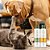 Kit Shampoo Condicionador 300g Natural Cães Gatos Propovets - Imagem 2