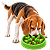 Comedouro Lento para Cães Ossinhos Verde | ÓrienPet - Imagem 2