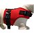 Guia Peitoral para Cachorro Neoprene GG Luna Lua - Imagem 1