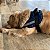 Coleira Peitoral Refletiva para Cães Grande Zenpet - Imagem 4