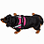 Peitoral para Cães Tamanho GG (Extra Grande) | Zenpet - Imagem 10