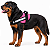Peitoral para Cães Tamanho GG (Extra Grande) | Zenpet - Imagem 12