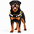 Peitoral para Cães Tamanho GG (Extra Grande) | Zenpet - Imagem 5