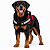 Peitoral para Cães Tamanho GG (Extra Grande) | Zenpet - Imagem 6