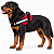 Peitoral para Cães Tamanho GG (Extra Grande) | Zenpet - Imagem 3