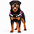 Peitoral para Cães Tamanho GG (Extra Grande) | Zenpet - Imagem 11