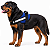 Peitoral para Cães Tamanho GG (Extra Grande) | Zenpet - Imagem 1