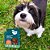 Kit 5 Coleira Natural Neem e Erva Santa Maria Cães Gatos Zenpet - Imagem 16